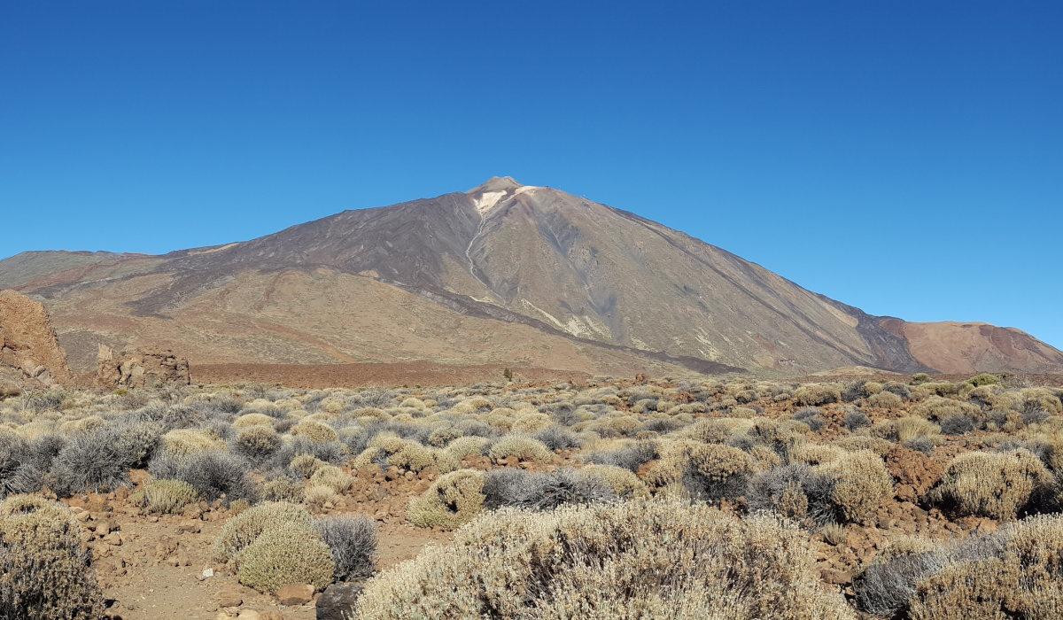 Tu Compañero de Viaje en la Isla: Descubre por Qué Elegir Nivaria Taxi en Tenerife